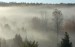 fogscape-with-trees.jpg